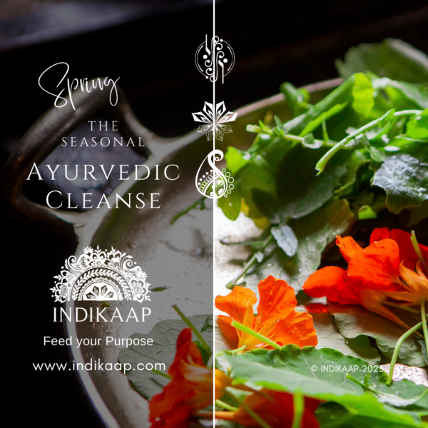 A decorative image of spring flowers and icons depicting the 3 Ayurvedic humors: Vata, Pitta & Kapha. Promoting INDIKAAP's seasonal spring cleanse.